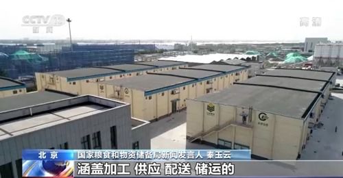 我國糧食市場供應充足且抗外部波動，農業企業托管服務助力產業穩定發展