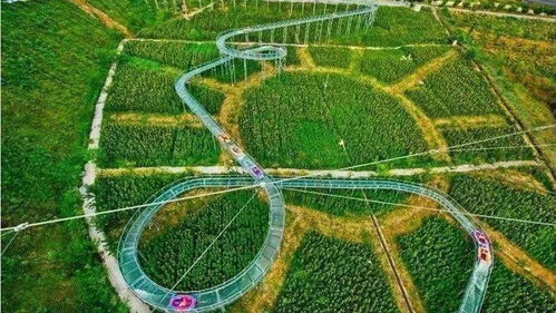 休閑農業發展中的用地策略 如何合規獲取建設用地并保障農田功能